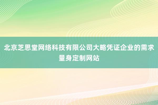 北京芝思堂网络科技有限公司大略凭证企业的需求量身定制网站
