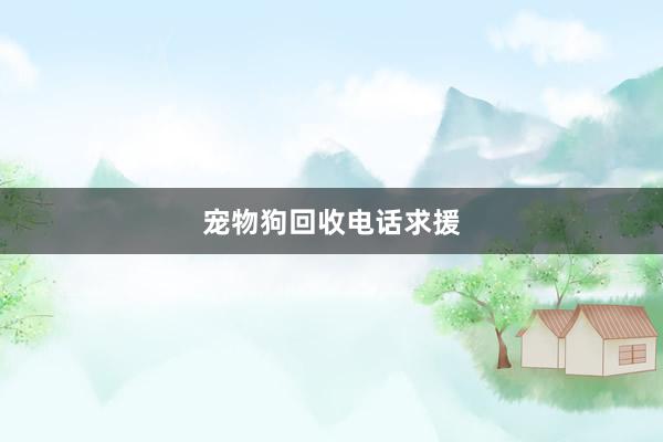 宠物狗回收电话求援